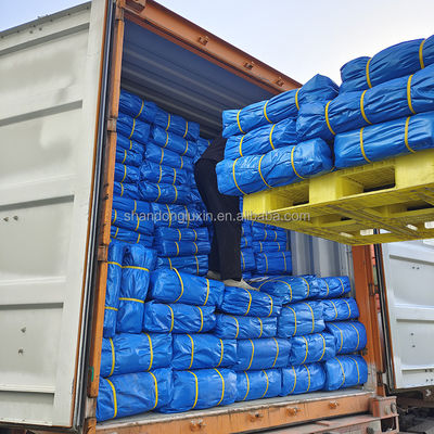6*6-16*16 Dichtheid Double Faced PE Plastic Fabric Tarpaulin voor Transport Cover
