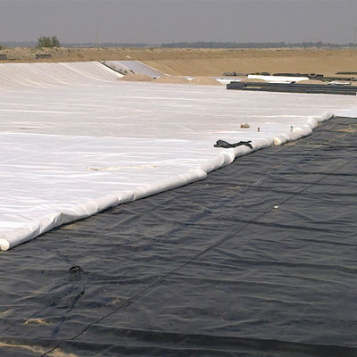 1 mm geomembrane HDPE vispoelvoering voor landbouwpoelen in witte dubbele textuur