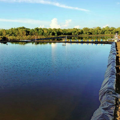 Industriële ontwerpstijl 0,5 mm 0,75 mm 1 mm HDPE-geomembraan voor landbouwpondliner