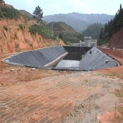 Industriële ontwerpstijl 0,5 mm 0,75 mm 1 mm HDPE-geomembraan voor landbouwpondliner