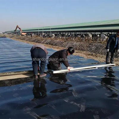 Industriële vormgeving Plastic Liner voor landbouwgronddamvoeringen tegen betaalbare prijzen