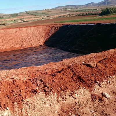 Industrial Design Style 2 mm HDPE Geomembrane Waterdichte Liner voor visten en vijvers