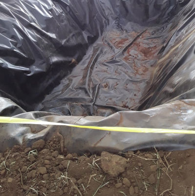 Industrial Design Style 2 mm HDPE Geomembrane Waterdichte Liner voor visten en vijvers