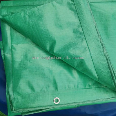 Gepersonaliseerde grootte Awning PE Tarpaulin voor landbouw kas Waterdicht zwaar werk