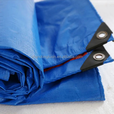 Gepersonaliseerde grootte Awning PE Tarpaulin voor landbouw kas Waterdicht zwaar werk