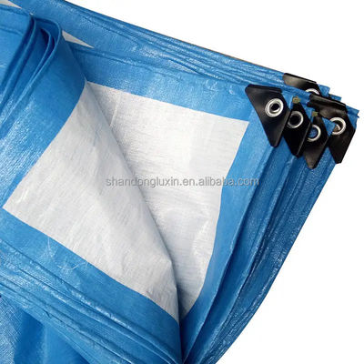 Gepersonaliseerde grootte Awning PE Tarpaulin voor landbouw kas Waterdicht zwaar werk