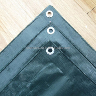 Gepersonaliseerde grootte Awning PE Tarpaulin voor landbouw kas Waterdicht zwaar werk