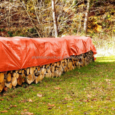 Marine Canvas Fabric Poly Tarps Covers Plastic Tarpaulin Sheeting Rolls voor veelzijdig