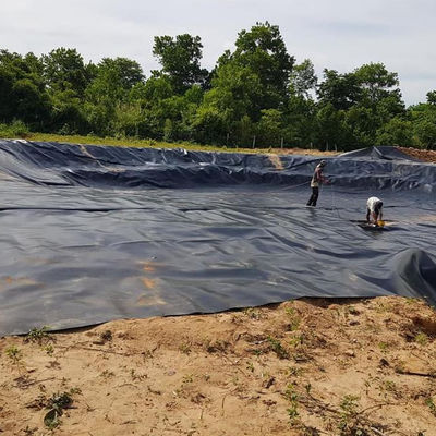 Dikte 0,3 mm-3,0 mm 50-200 m Lengte HDPE Geomembrane voor vishouderij tank vijver Liner