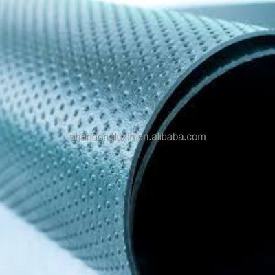 Geomembraan voor buiten HDPE Waterdicht membraan voor geosynthetische materialen LDPE EVA