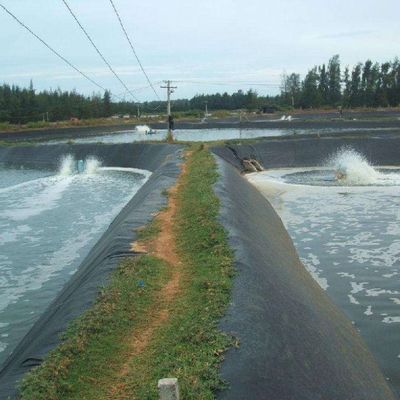 Geomembraan van polyethyleen met een hoge dichtheid EVA voor stortplaatsen en rioolvaten in visvijvers