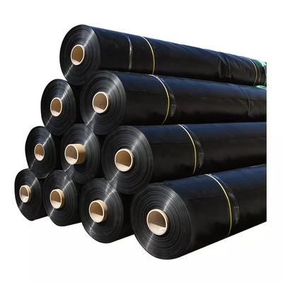 Waterdichte HDPE-geomembraan Duurzame oplossing voor visvijvers en afvalwaterzuiveringsinstallaties
