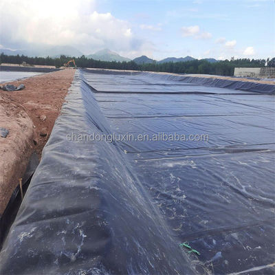 Geomembranen Projectoplossingscapaciteit Duurzaam Voorgefabriceerd glad voor visvijvers