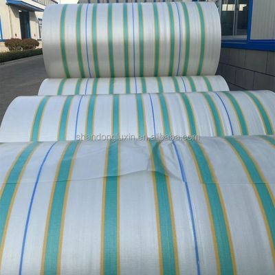 Gepersonaliseerd Kleur PE Tarpaulin Waterdicht Stofdicht Regendicht Vochtdicht Voor Auto's