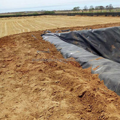 Glanzige geomembranen voor hellingsbescherming op buiten geprefabriceerde ruwe stortplaatsen