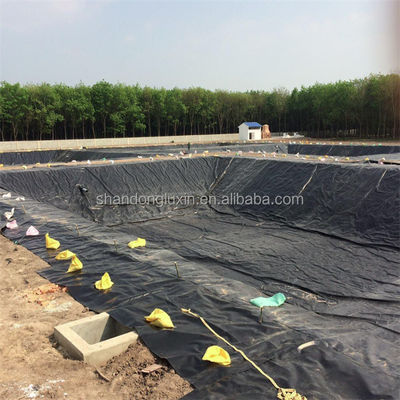 Geomembrane op maat voor visvijvers en civiele techniek 1 mm-2 mm dikte Duurzaam