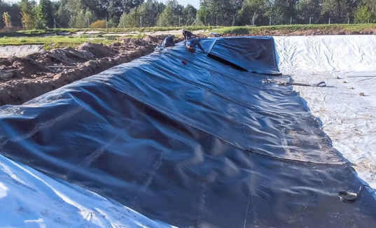 Modern ontwerp Zwart HDPE glad geomembraan 0,5 mm 1 mm voor stortplaatsen en visvijvers
