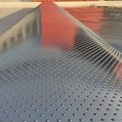 Geomembrane met dubbelzijdige kolommen voor hellingsbescherming en 0,3 mm-2,8 mm dikte