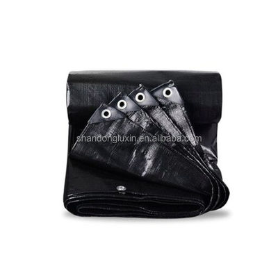 Gepersonaliseerde PE-gecoate traliewerkplaat voor de industrie