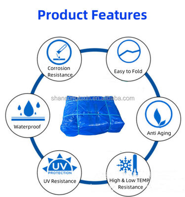 240 g Pe waterdicht tarpolin tent blauw Hdpe tarpolin in dichtheid 6*6-16*16 waterdicht