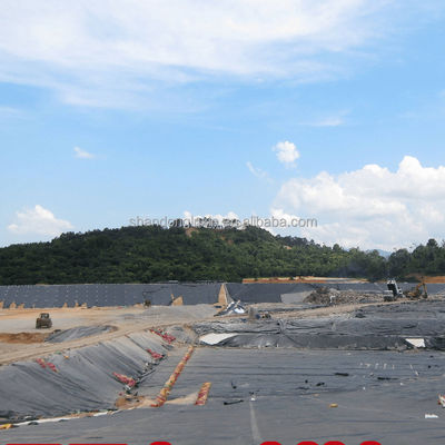Direct HDPE Geomembrane Waterdicht Liner 2 mm HDPE Geomembrane Liner voor vis vijver Dam