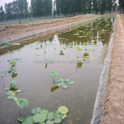 0.75mm HDPE-poelvoeringen en 1.0mm vistenk geomembraan voor efficiënte garnalenhouderij