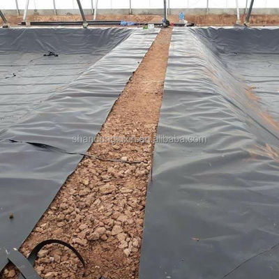 Glanzige geomembraan Ruwe geomembraan Samengestelde geomembraan 1 mm 2 mm voor buitenpoelen