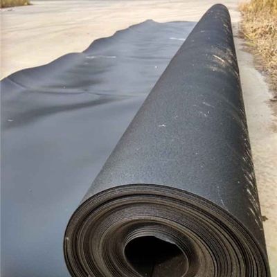 Direct leveren van HDPE-geomembraan visvijvervoer voor stortplaatsen en visvijvers
