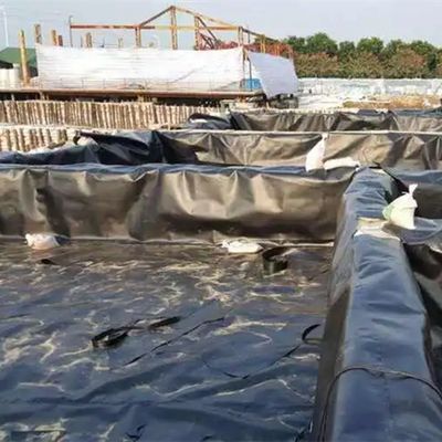 Vishouderij vijvers zwembad lagune aquacultuur hoogdichte polyethyleen geomembraan 2 mm