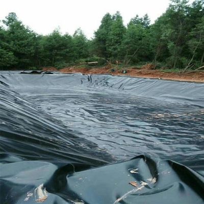 Zorg voor lekvrije wateropslagtanks met een dubbel glad oppervlak met HDPE-geomembraan
