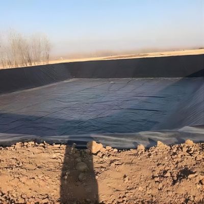 1 mm 2 mm Dikte Geomembraan voor vis vijver Liner Puncturebestand Tear Resistance