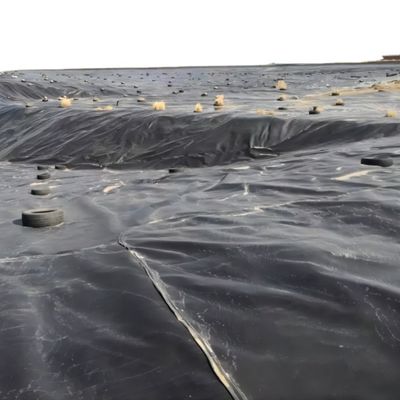 1 mm HDPE-geomembraanrol voor vishouderij 1m-8m Breedte Kruiscategorieën Consolidatie