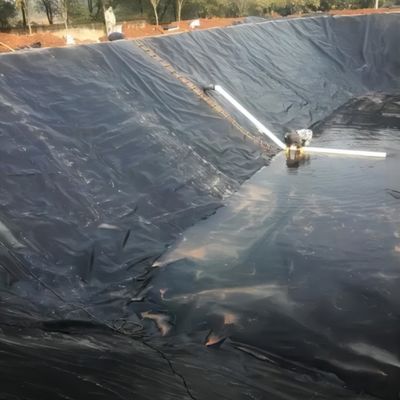 Hoogdichtheid vis- en garnalenpoelmembraan met waterdichte functie