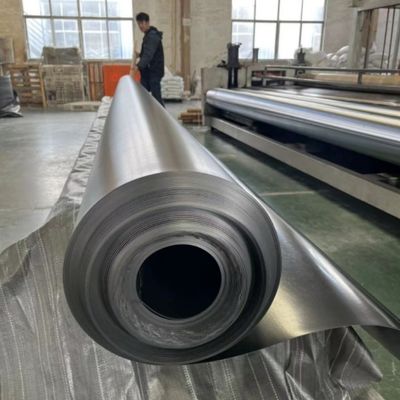 ASTM GRI-GM13 Standaard Zwart HDPE glad geomembraan voor stortplaatsen en visvijvers