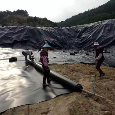 2 mm zwart HDPE geomembraan waterdicht garnalen vis vijver voering voor aquacultuur gebouw