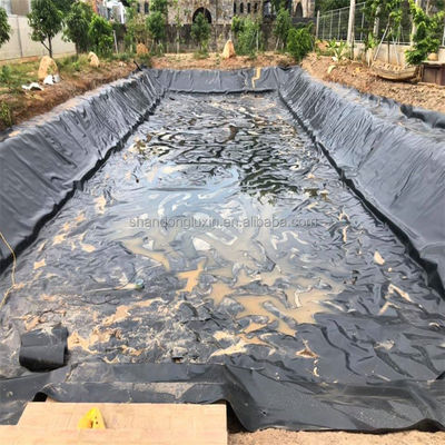 2 mm zwart HDPE geomembraan waterdicht garnalen vis vijver voering voor aquacultuur gebouw