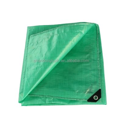 Buitenlandbouw Prefabricated UV Resistant PE Tarpaulin voor regen- en vochtbestendig