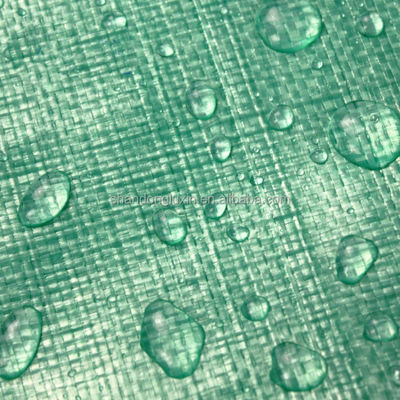 Buitenlandbouw Prefabricated UV Resistant PE Tarpaulin voor regen- en vochtbestendig