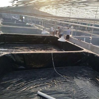 ISO9001 Geomembrane van HDPE-standaard voorkomt water en lekkage met directe verkoop