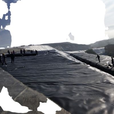 Grafisch ontwerp Industrial Style HDPE Geomembrane Liner 1,0 mm voor vijver
