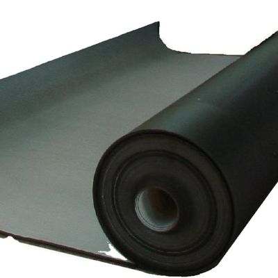 Lange 50-200m Modern ontwerp gladde geomembraan vis vijver Liner voor vis vijvers rechtstreeks