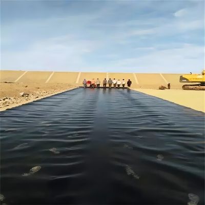 Duurzame waterdichte geomembranen van 0,5 mm polyethyleen voor garnalenhouderij
