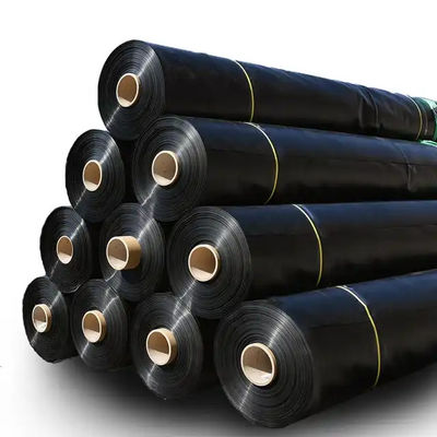 Smooth Geomembrane 0.3mm 0.5mm Vissenpoel Liner voor de aquacultuur Moderne ontwerp stijl