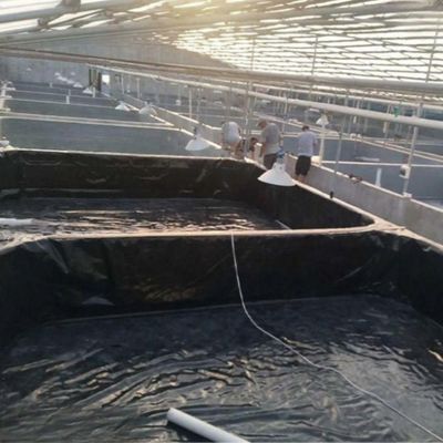 Smooth Geomembrane 0.3mm 0.5mm Vissenpoel Liner voor de aquacultuur Moderne ontwerp stijl