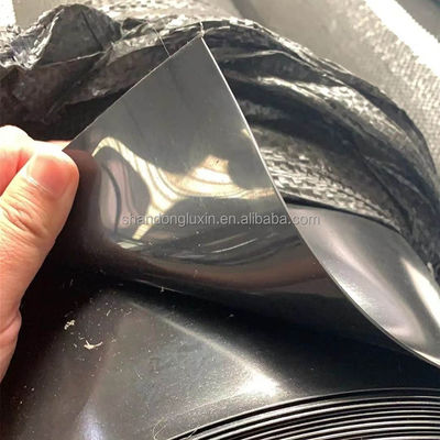 Singapore Fish Shrimp Farming Waterdicht HDPE Geomembrane 0,3 mm met inspectie ter plaatse