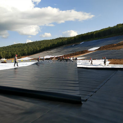 Singapore Fish Shrimp Farming Waterdicht HDPE Geomembrane 0,3 mm met inspectie ter plaatse