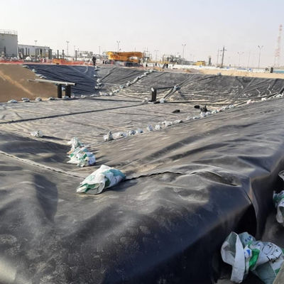 Singapore Fish Shrimp Farming Waterdicht HDPE Geomembrane 0,3 mm met inspectie ter plaatse