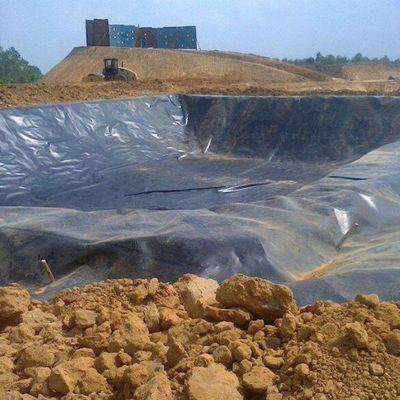 Singapore Fish Shrimp Farming Waterdicht HDPE Geomembrane 0,3 mm met inspectie ter plaatse
