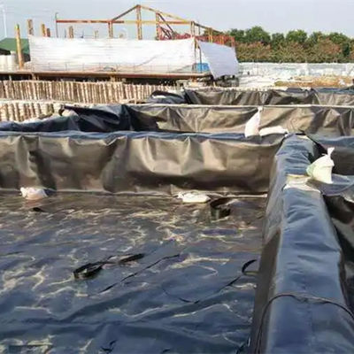 Waterdicht HDPE-geomembraan voor daktuinen of garnalenpoelen Langdurig en duurzaam