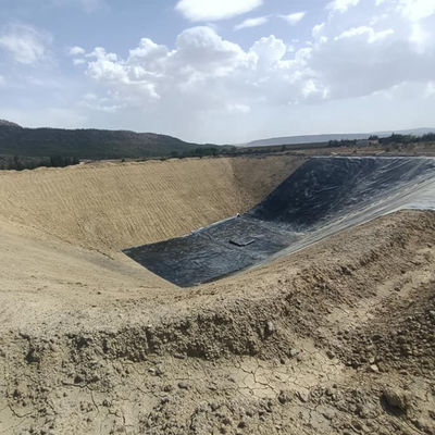 1.5mm HDPE Geomembrane voor mijnen vis vijver lagune meer en dam Liner Flexibel materiaal
